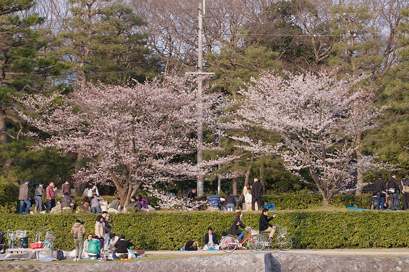 Kamogawa