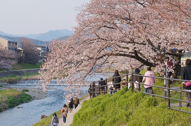 Kamogawa