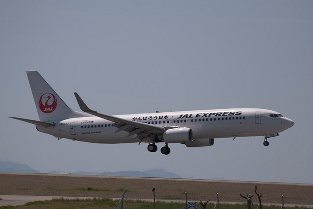 JA302J(Boeing 737-800)