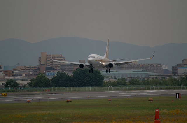 ANA JA02AN "GoldJet#2" (Boeing 737-700)