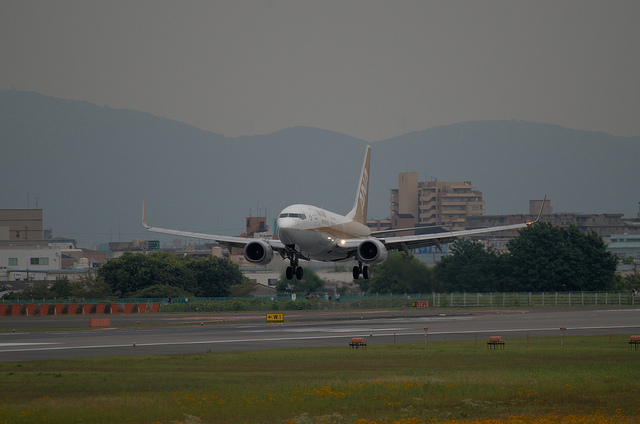 ANA JA02AN "GoldJet#2" (Boeing 737-700)