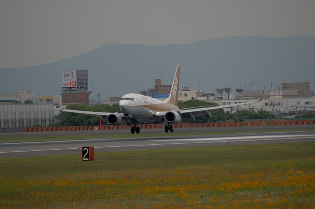 ANA JA02AN "GoldJet#2" (Boeing 737-700)