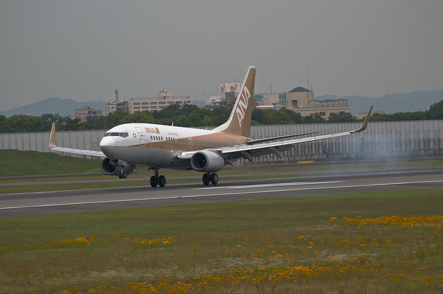 ANA JA02AN "GoldJet#2" (Boeing 737-700)