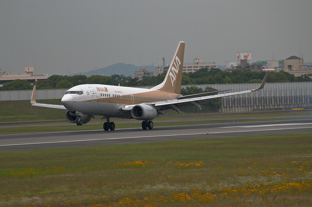 ANA JA02AN "GoldJet#2" (Boeing 737-700)