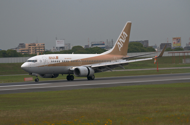 ANA JA02AN "GoldJet#2" (Boeing 737-700)