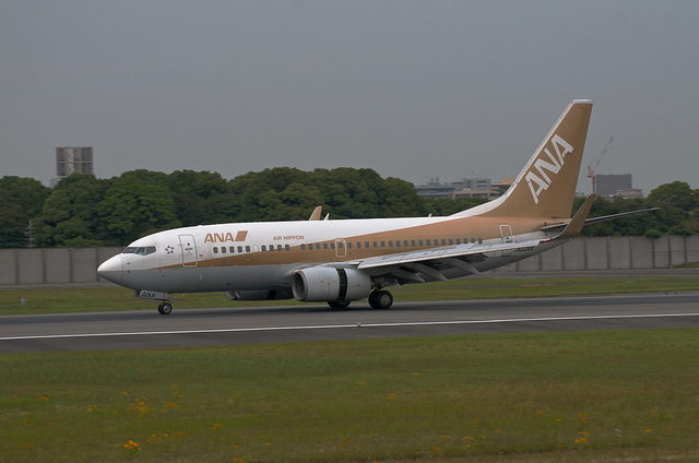 ANA JA02AN "GoldJet#2" (Boeing 737-700)
