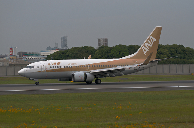 ANA JA02AN "GoldJet#2" (Boeing 737-700)