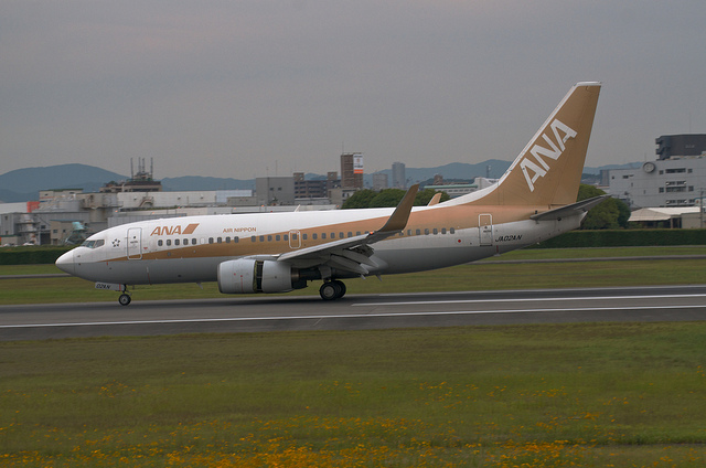 ANA JA02AN "GoldJet#2" (Boeing 737-700)