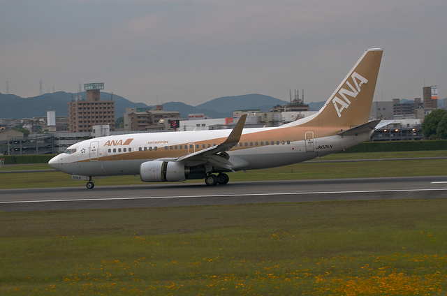 ANA JA02AN "GoldJet#2" (Boeing 737-700)