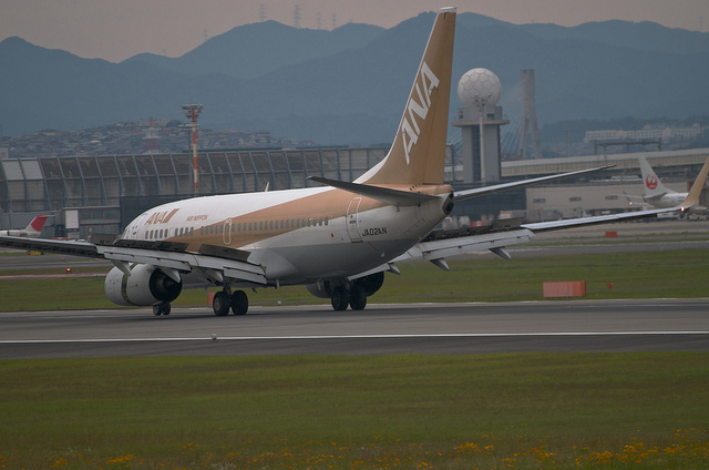 ANA JA02AN "GoldJet#2" (Boeing 737-700)