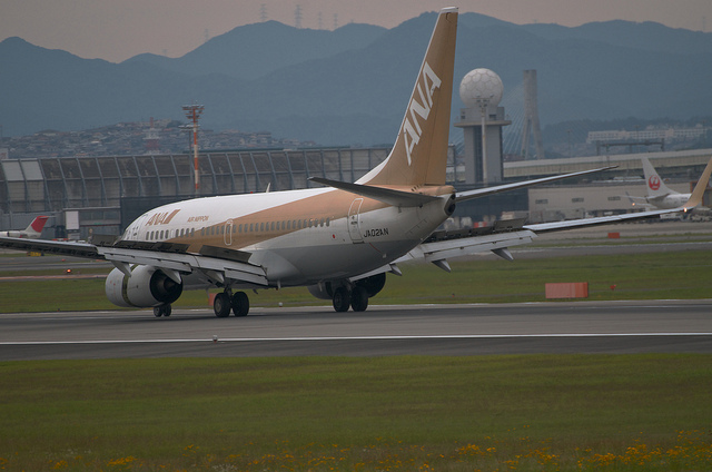 ANA JA02AN "GoldJet#2" (Boeing 737-700)