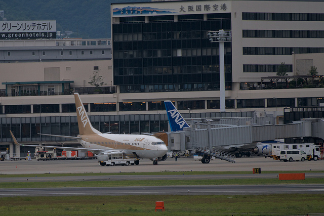 ANA JA02AN "GoldJet#2" (Boeing 737-700)