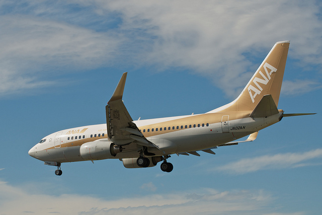 ANA JA02AN "GoldJet#2" (Boeing 737-700)