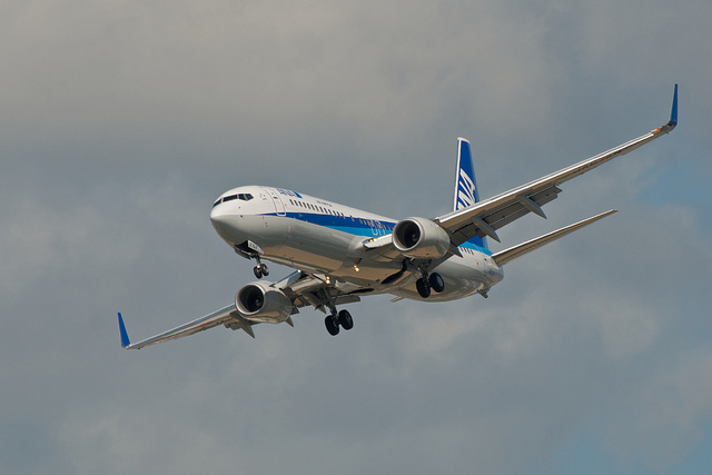 All Nippon Airways JA67AN(Boeing 737-800)