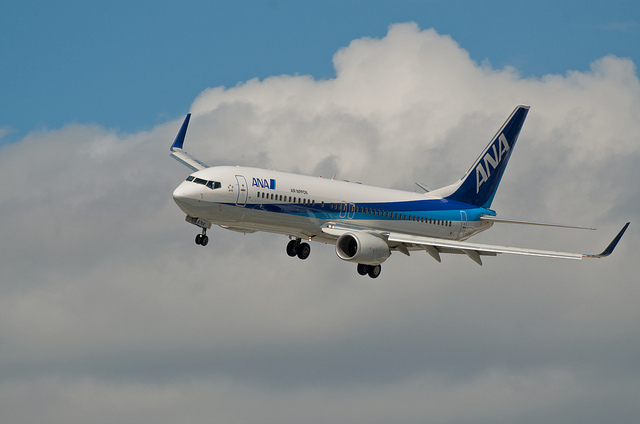 All Nippon Airways JA67AN(Boeing 737-800)