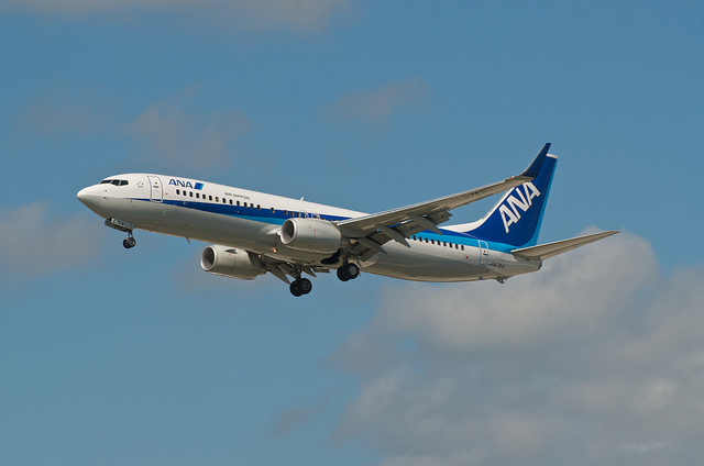 All Nippon Airways JA67AN(Boeing 737-800)