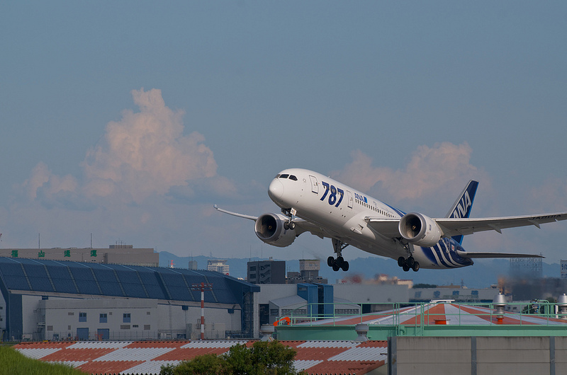 All Nippon Airways JA801A(Boeing 787-8 Dreamliner)