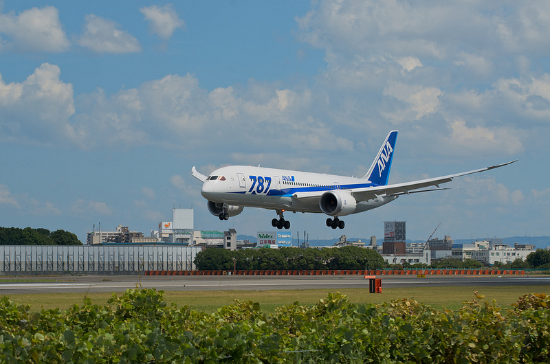 All Nippon Airways JA811A(Boeing 787-8 Dreamliner)