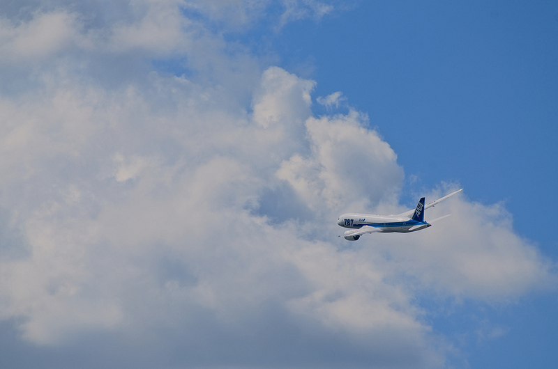 All Nippon Airways JA811A(Boeing 787-8 Dreamliner)