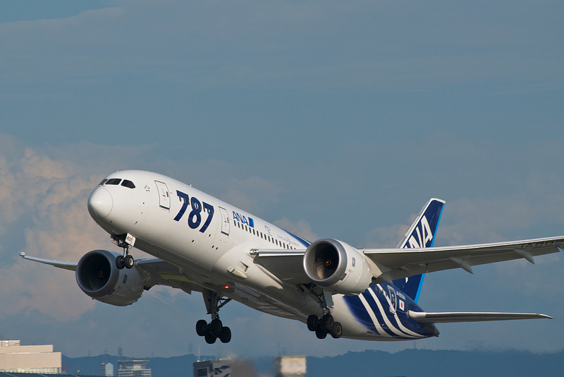 All Nippon Airways JA802A(Boeing 787-8 Dreamliner)