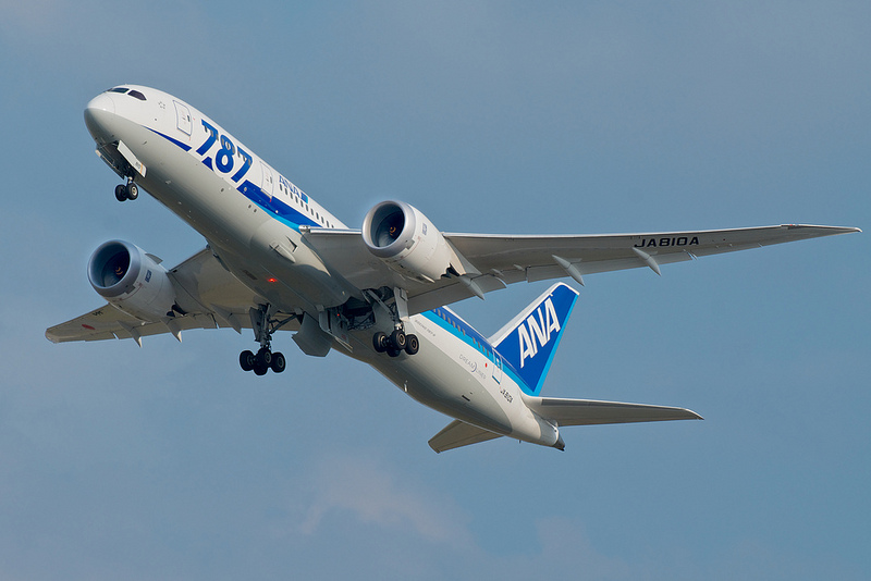 All Nippon Airways JA810A(Boeing 787-8 Dreamliner)