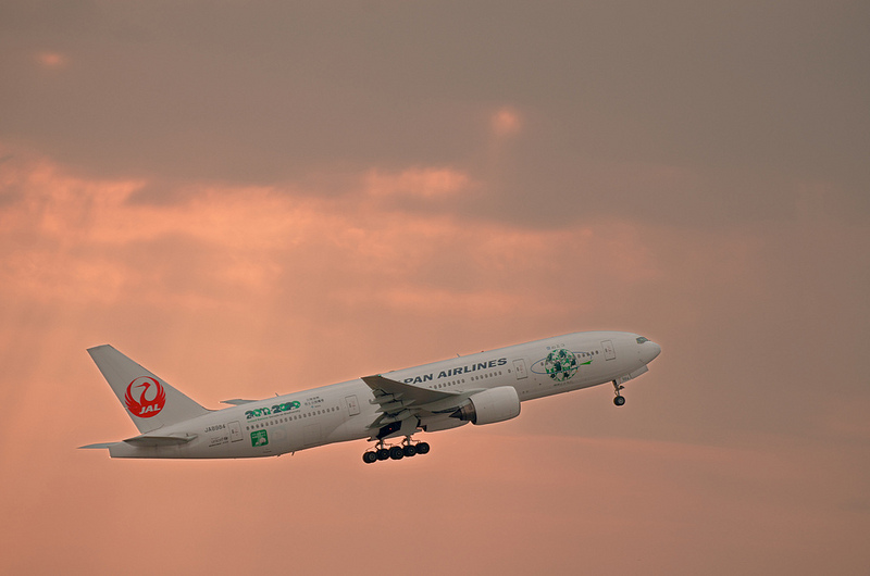 Japan Airlines JA8984(Boeing 777-200)