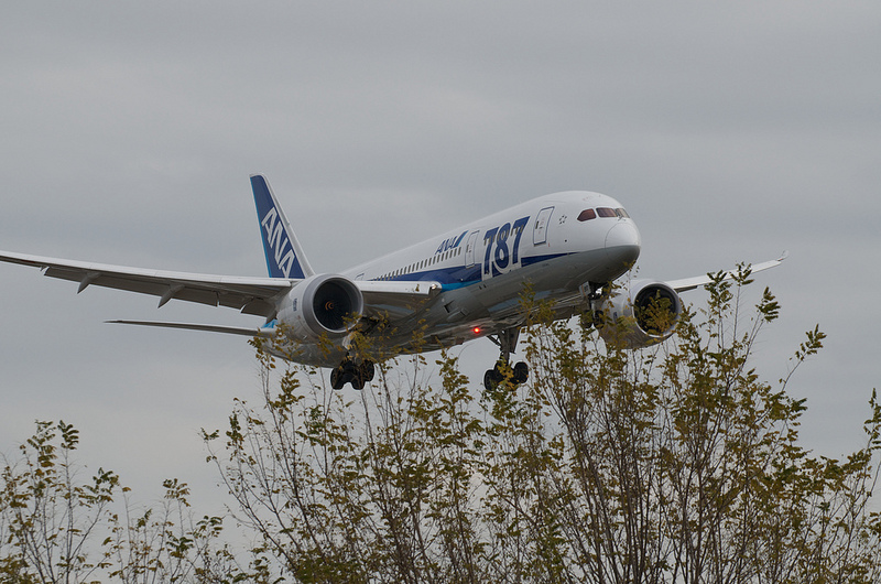 All Nippon Airways JA810A(Boeing 787-8 Dreamliner)