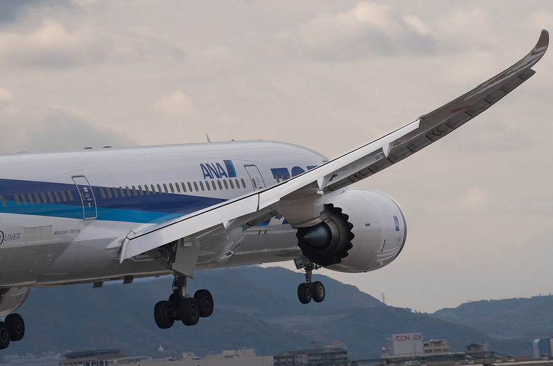 All Nippon Airways JA810A(Boeing 787-8 Dreamliner)