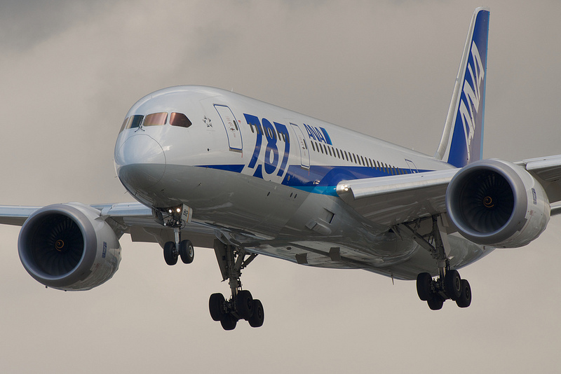 All Nippon Airways JA812A(Boeing 787-8 Dreamliner)