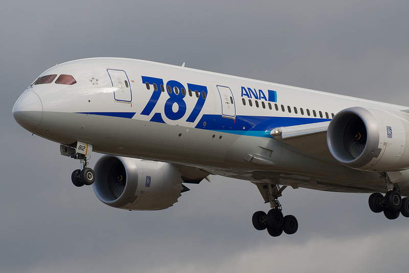 All Nippon Airways JA812A(Boeing 787-8 Dreamliner)