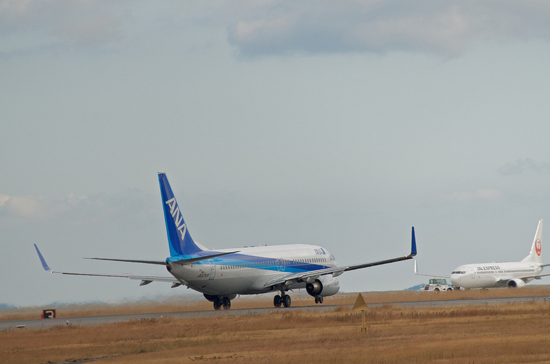 All Nippon Airways JA57AN(Boeing 737-800)