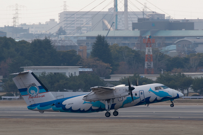 Amakusa Airlines JA81AM(Bombardier DHC-8-100)