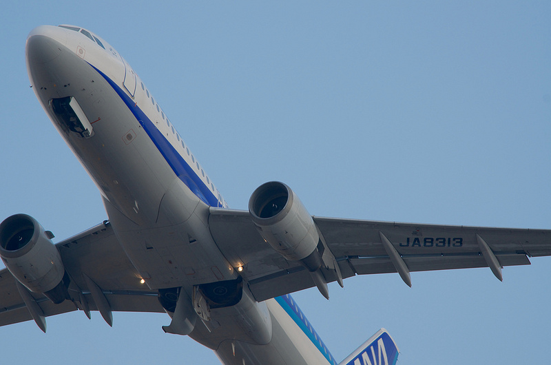 All Nippon Airways JA8313(Airbus A320-211)