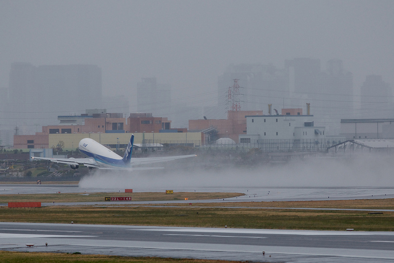 All Nippon Airways JA8363(Boeing 767-300)