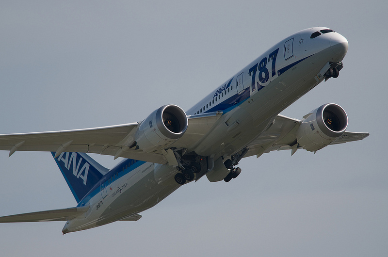 All Nippon Airways JA817A(Boeing 787-881 Dreamliner)