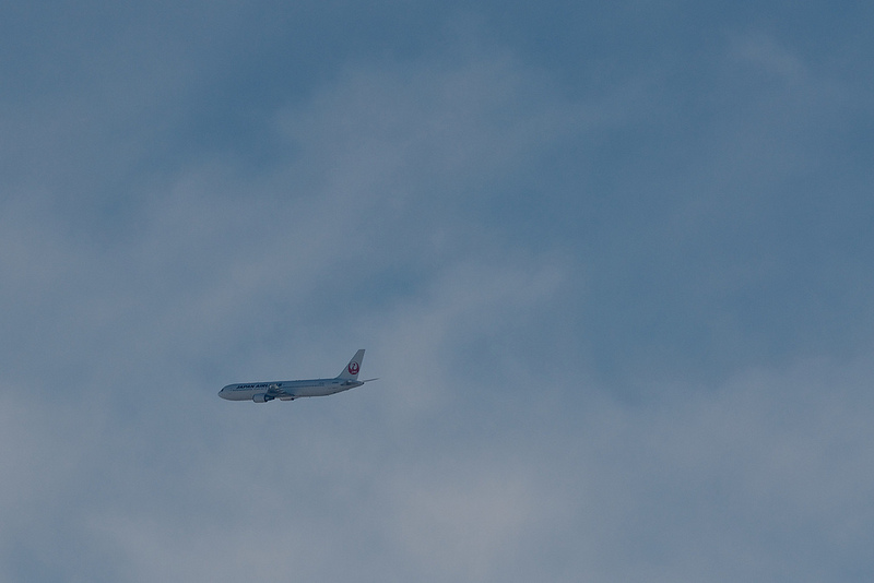 Japan Airlines JA8986(Boeing 767-300)