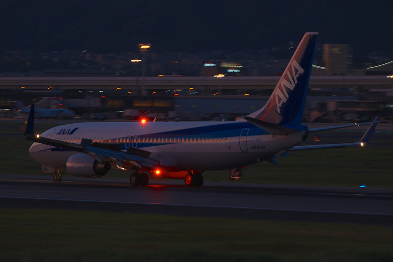 All Nippon Airways JA65AN(Boeing 737-800)