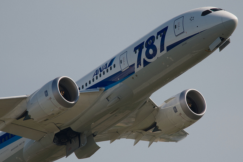 All Nippon Airways JA817A(Boeing 787-881 Dreamliner)