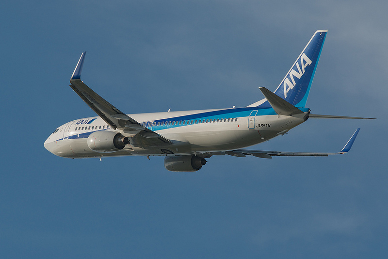 All Nippon Airways JA65AN(Boeing 737-800)