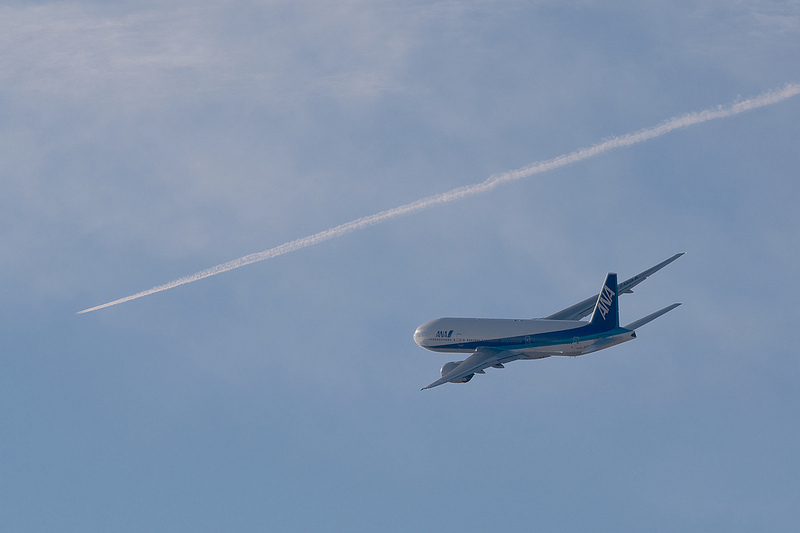 All Nippon Airways JA703A(Boeing 777-281)