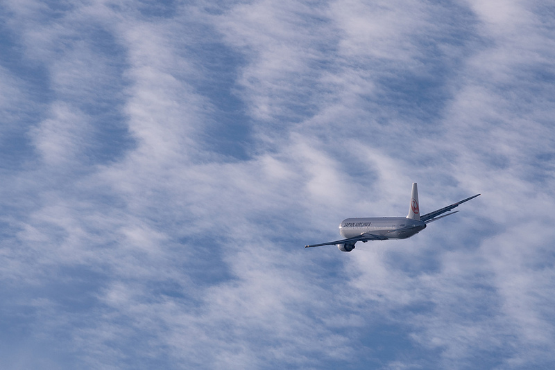 Japan Airlines JA8988(Boeing 767-300)