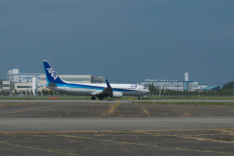 All Nippon Airways JA65AN(Boeing 737-800)