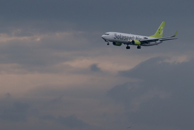 Solaseed Air JA802X(Boeing 737-81D)