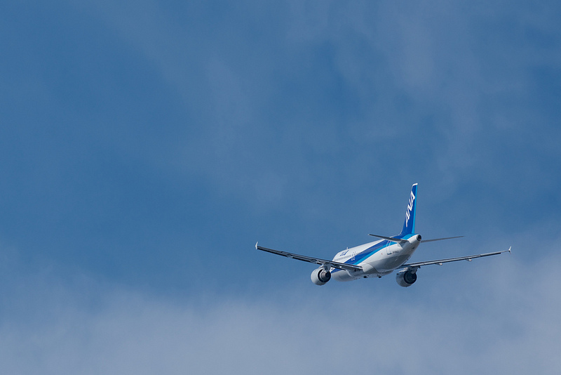 All Nippon Airways JA8997(Airbus A320-211)