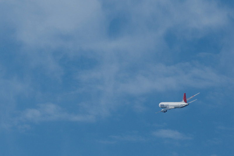 Japan Airlines JA8980(Boeing 767-300)