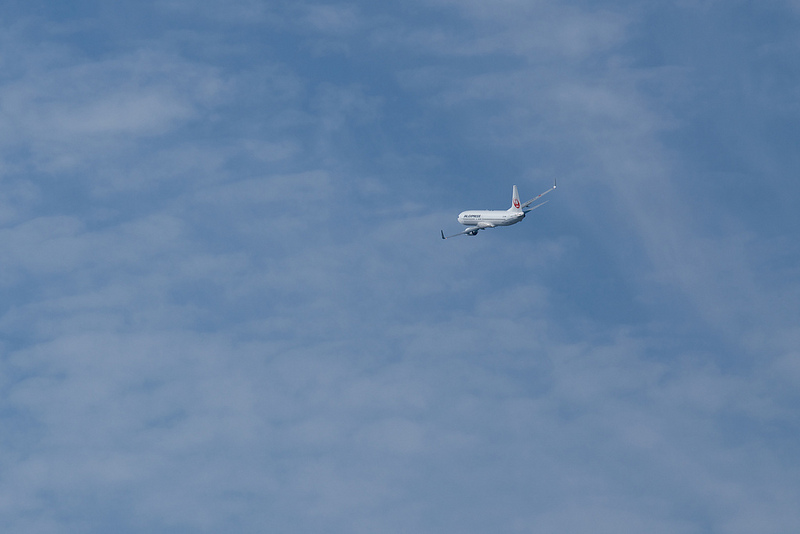 Japan Airlines JA345J(Boeing 737-846)