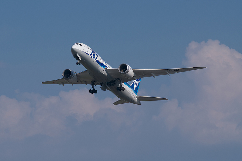 All Nippon Airways JA803A(Boeing 787-881 Dreamliner)