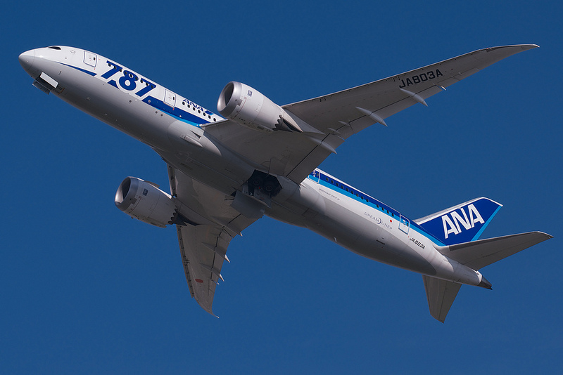 All Nippon Airways JA803A(Boeing 787-881 Dreamliner)