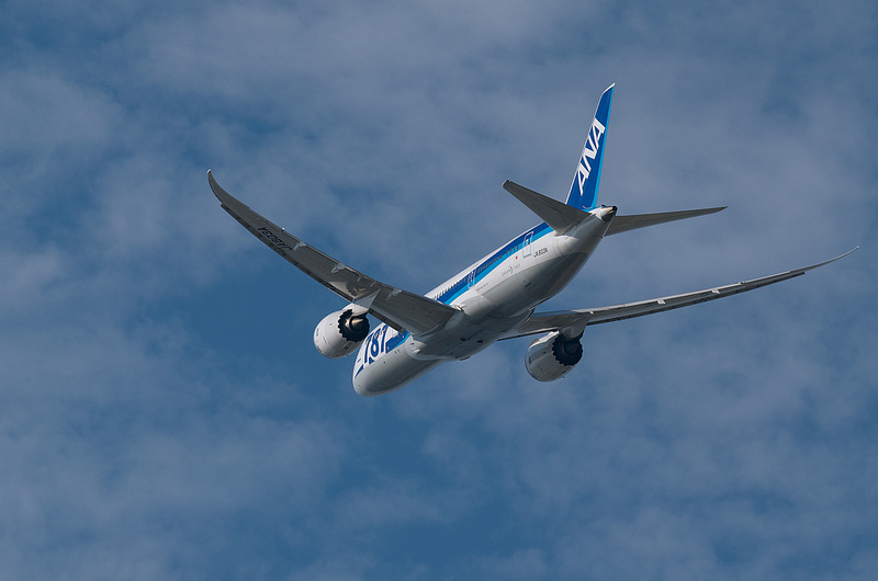 All Nippon Airways JA803A(Boeing 787-881 Dreamliner)