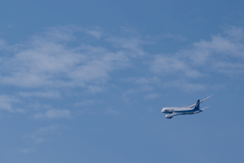 All Nippon Airways JA803A(Boeing 787-881 Dreamliner)